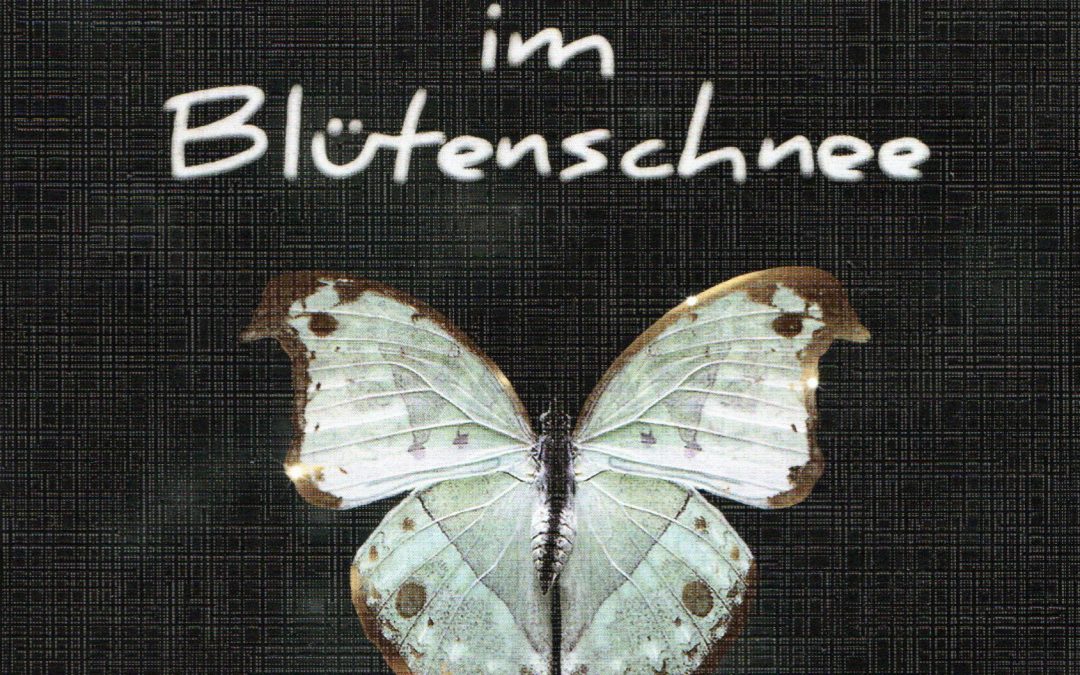 Der Falter im Blütenschnee